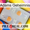 Adams Secret 24